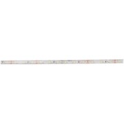 tasma-economic-12v-60-led-6000-7000k1.jpg