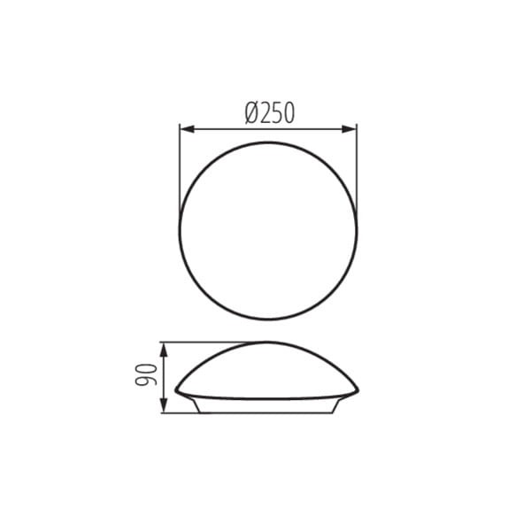256902.jpg