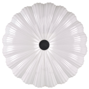 FLOWER5.png