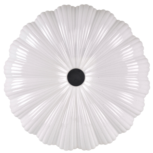 FLOWER5.png