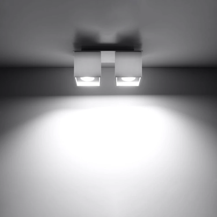 3afe0137df65a6cf451352556c7dc5ba
