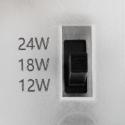 29304_2.jpg