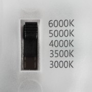 29304_1.jpg