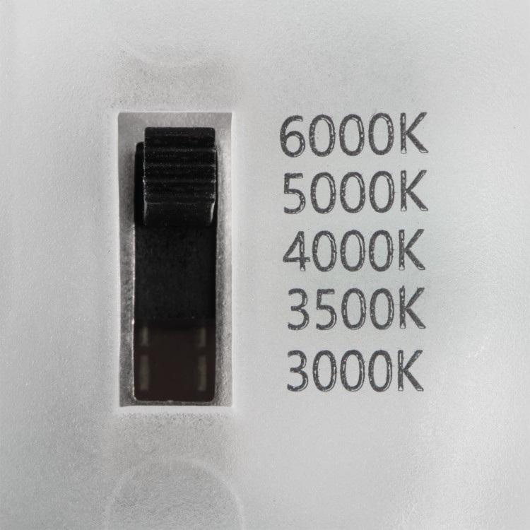29304_1.jpg